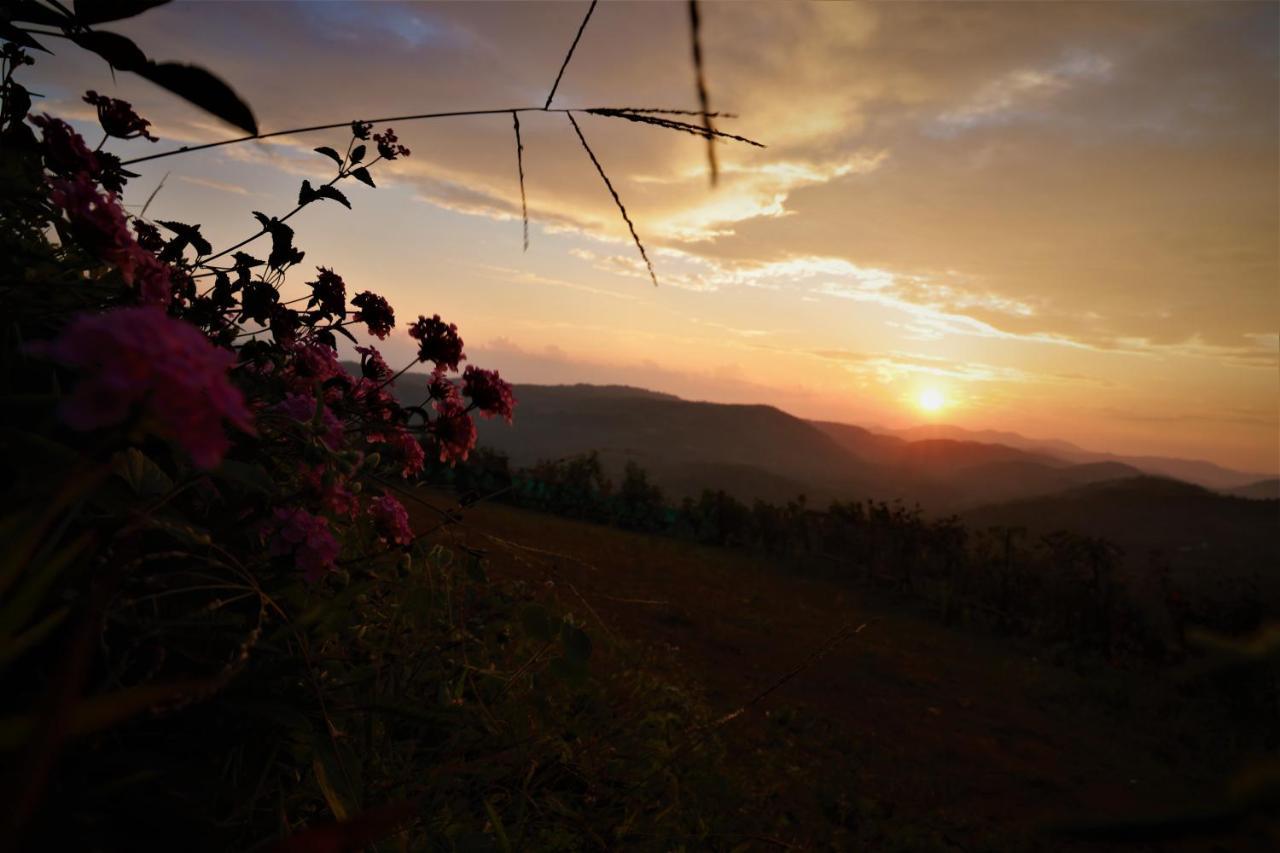 Peakaavu Cottages 이두키 외부 사진